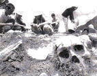 Exhumación verano 2002.- fosa común de Piedrafita de Babia
