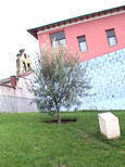 Olivo de la Reconciliacin.- Homenaje de 2003.-