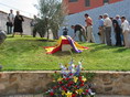 flores, banderas, olivo