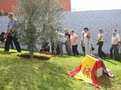 plantando el Olivo de la Memoria